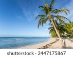 Savannah Beach, Bridgetown, Christ Church, Barbados, West Indies, Caribbean, Central America