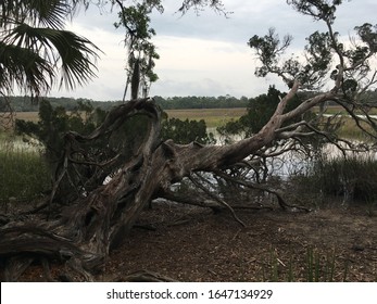 Savannah, Georgia / USA- April 14, 2019: Wormsloe Plantation