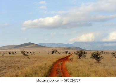 Savannah Landscape In The National Park In Kenya, Africa