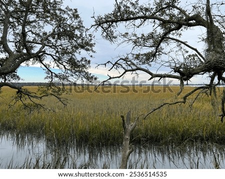 Similar – Image, Stock Photo From last fall Autumn