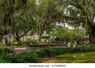 1,075 Savannah georgia oak tree Images, Stock Photos & Vectors ...