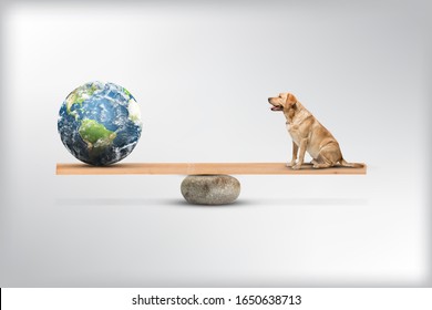 Save The Animal For World Animal Day. Dog With Balance Nature. Endangered Species Conservation Deforestation Concept.