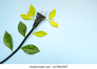 Save Electricity, Unplug Appliances And Environmental Conservation Concept. Unplugged Electric Cord Plug With Fresh Green Leaves Flat Lay.