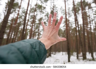 Save the forest.
