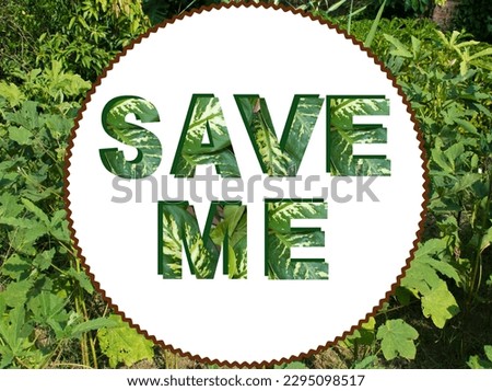 Save Me 3D text or word written with leaves background. Save tree, save nature, same earth concept. Nature Love.