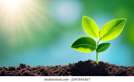 Save Our Planet Embrace the Green Movement on World Earth Day with Young Green Plant Growing in Sunlight  Eco-Friendly Ecology Concept Banner - Shutterstock ID 2347641667
