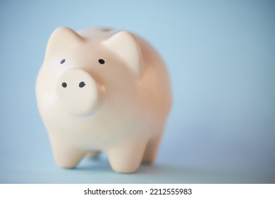 Saving, Finance And Money In Piggybank For Learning, Education And Financial Knowledge. Banking, Investing And Accounting For Investment, Wealth And Bank For Savings, Growth And Development In Future