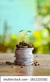saving as a form of planting the seeds of wealth for the future