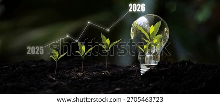 Saving and growth energy and environment.  Tree growth compared to year 2025 to 2026 in light bulb for saving Ecology energy nature. Development to success Year 2026