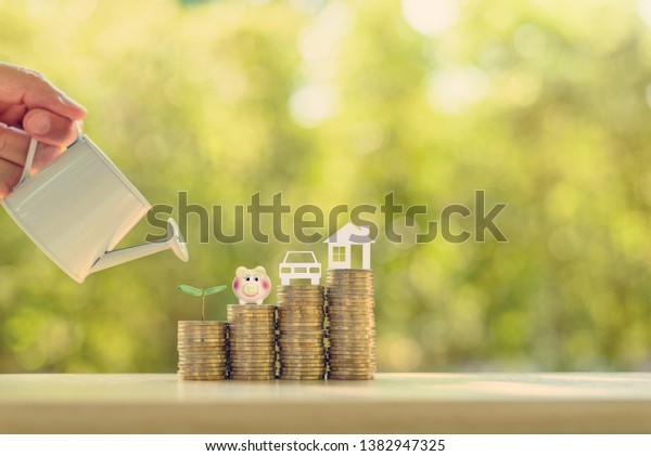Saving money for basic needs, financial concept :
Investor pours water on rows of rising coins with green sprout,
piggy bank, sedan car, a house or home, depicts investing for money
gain to buy things
