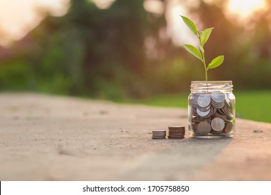 Saving money by hand puting coins in jug glass on nature background