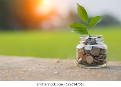 Saving money by hand puting coins in jug glass on nature background