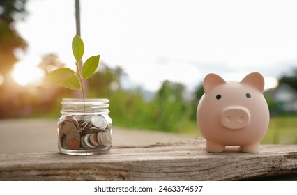 Saving money by hand puting coins in jug glass on nature background