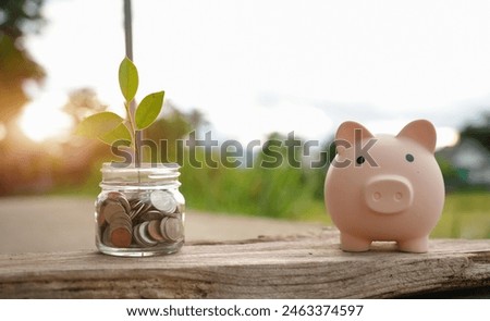 Saving money by hand puting coins in jug glass on nature background