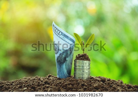 Saving money concept with money coin stack and banknote growing for business. financial and accounting concept.