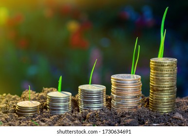 Saving Money Concept. Growing Business Growth Graph. The Highest Point Of Economic Recovery. Expansion Concept