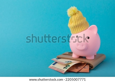 Savings concept. Piggy bank and money on a blue texture background. A piggy bank in a warm winter hat that keeps you warm. Heat saving concept. Place for text. copy space