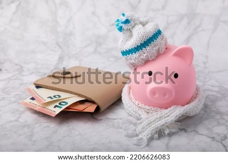 Savings concept. Piggy bank and money on white marble texture background. A piggy bank in a warm winter hat that keeps you warm. Heat saving concept. Place for text. copy space