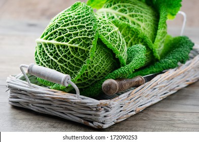 Savoy Cabbage 