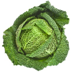 Savoy Cabbage Head Isolated On White Background