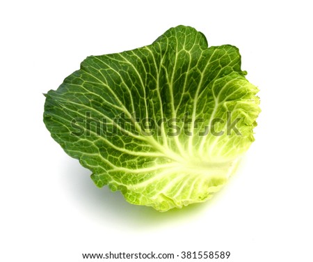 Similar – Image, Stock Photo Close up green savoy cabbage leaves