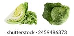 Savoy cabbage slice isolated on white background with  full depth of field