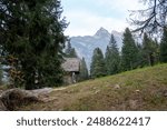Savoy Castle is a historic residence situated in Gressoney-Saint-Jean, Italy, near the village of Obre Biel in the Italian Alps, hut in the garden.