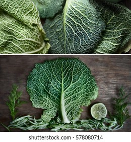 Savoy. the tree of cabbage, picture of vegetables  