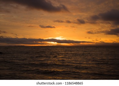 Savusavu Bay Coast At Sunset