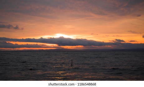 Savusavu Bay Coast At Sunset