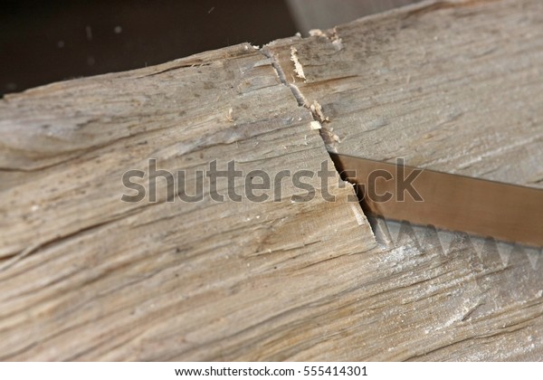 saw blade in a timber\
block