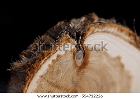 Similar – Image, Stock Photo wood Environment Nature