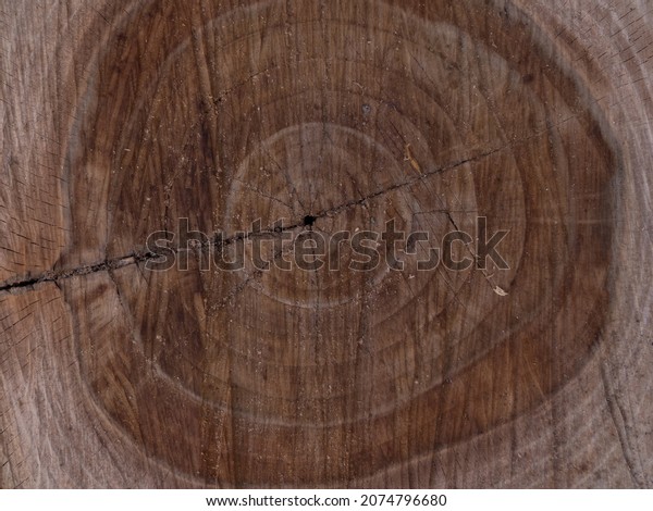 Saw cut texture with annual rings and cracks. Old\
tree stump as background. Construction Background. Stump of tree\
felled. Slice wood.
