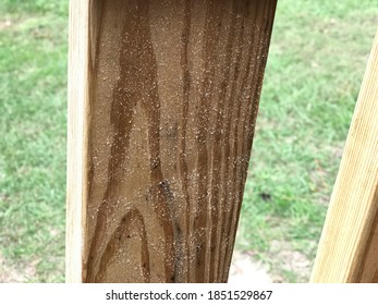 Saw Dust On Natural Wood