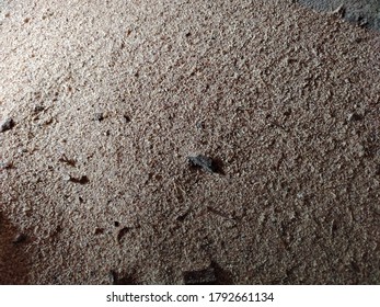 Saw Dust Texture Background Top View From Above Flat Lay With Copy Space, Carpenter Wood Industry Home DIY Concept