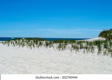 Saw grass, sand dunes and wide beach in a unpopulated area of Long Beach Island along the New Jersey coastline.