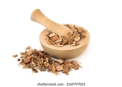 Saw palmetto herb used in herbal plant medicine to treat impotence, low libido, prostrate problems, toothache, muscle waste and fatigue. Natural health care concept on white background. - Shutterstock ID 2169797023