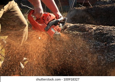 Sawdust flies as a man cuts a fallen tree into logs. - Powered by Shutterstock