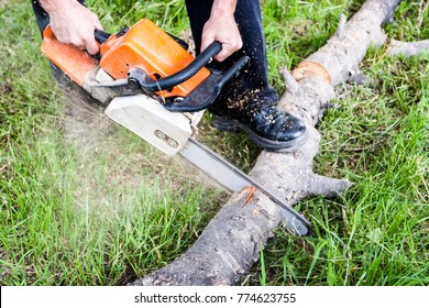 Sawdust flies as a man cuts a fallen tree into logs. - Powered by Shutterstock