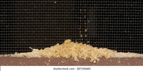 Sawdust, or frass, left on porch deck by a wood boring carpenter ant