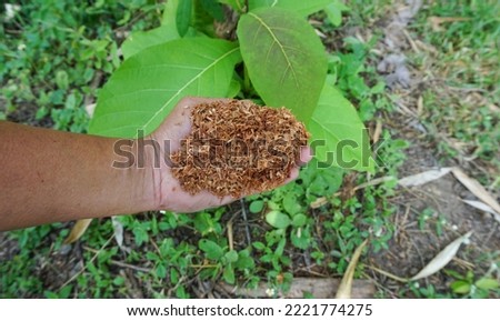Sawdust handle for fertilizing or composting plants grown in the garden