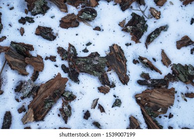 Sawdust In The Snow In The Forest. Winter Sawmill Waste