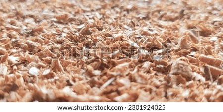 sawdust, wood dust Sawdust floor, top view
