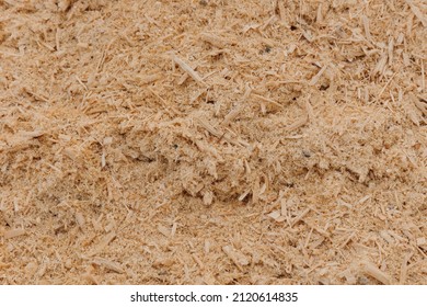 Sawdust or wood dust texture background. Wood sawdust background closeup. Sawdust floor texture. Top view above. Saw dust texture, close-up background of sawdust.