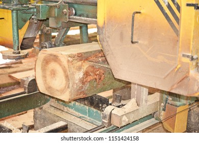 Sawing Logs On A Band Sawmill