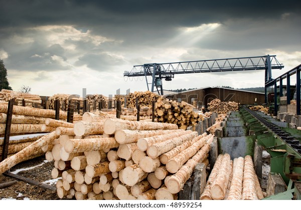 Sawmill Lumber Mill Stock Photo (Edit Now) 48959254