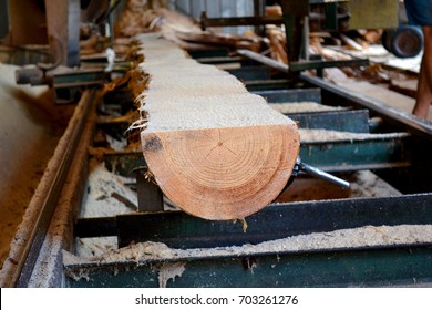 Sawmill. Process Of Machining Logs In Equipment Sawmill Machine Saw Saws The Tree Trunk On The Plank Boards. Wood Sawdust Work Sawing Timber Wood Wooden Woodworking