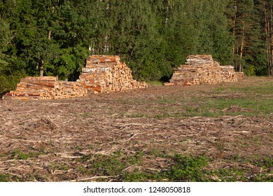 Sawn Baltic Birch Logs Stacked In A Pile On A Field By The Forest