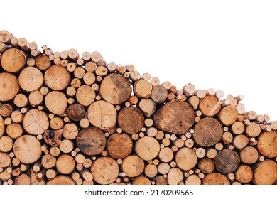A lot of sawn branches and trunks of different diameters as decoration isolated on white background. Wooden background and construction material