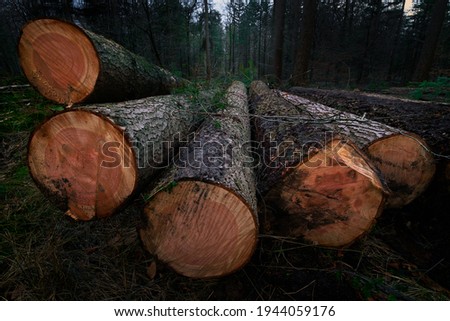 Similar – Holz vor der Hütte Umwelt